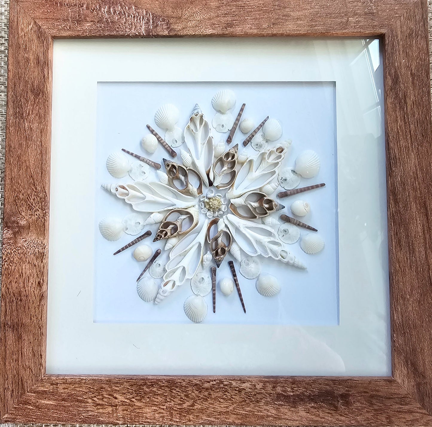 Sliced Shell & Spikes 9.5x9.5