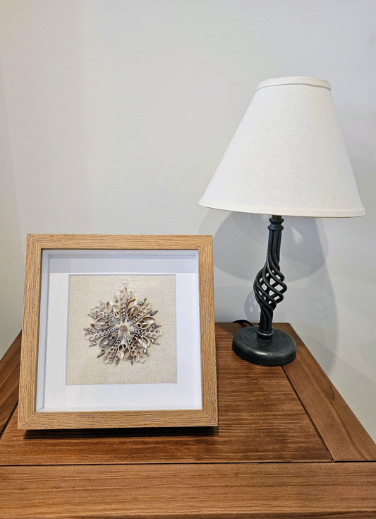 Sliced shells & Rhinoclavis on Linen 9x9