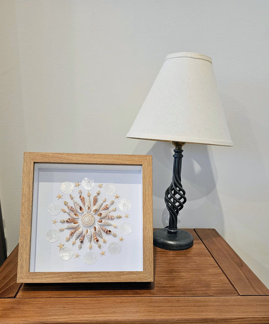 Bullia & Vexillum 9x9