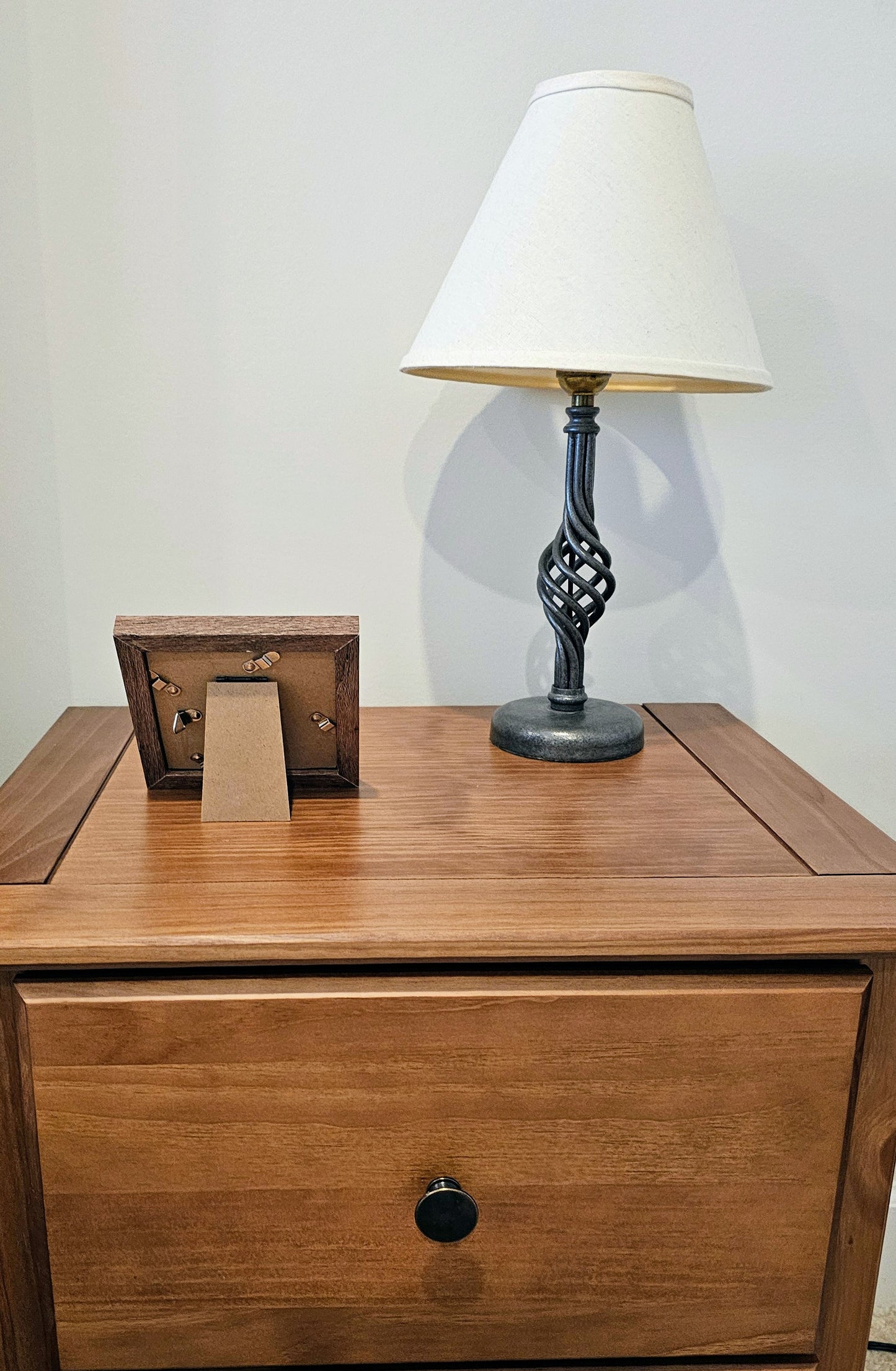 Rhinoclavis & White Nassa Shells 3.75x3.75