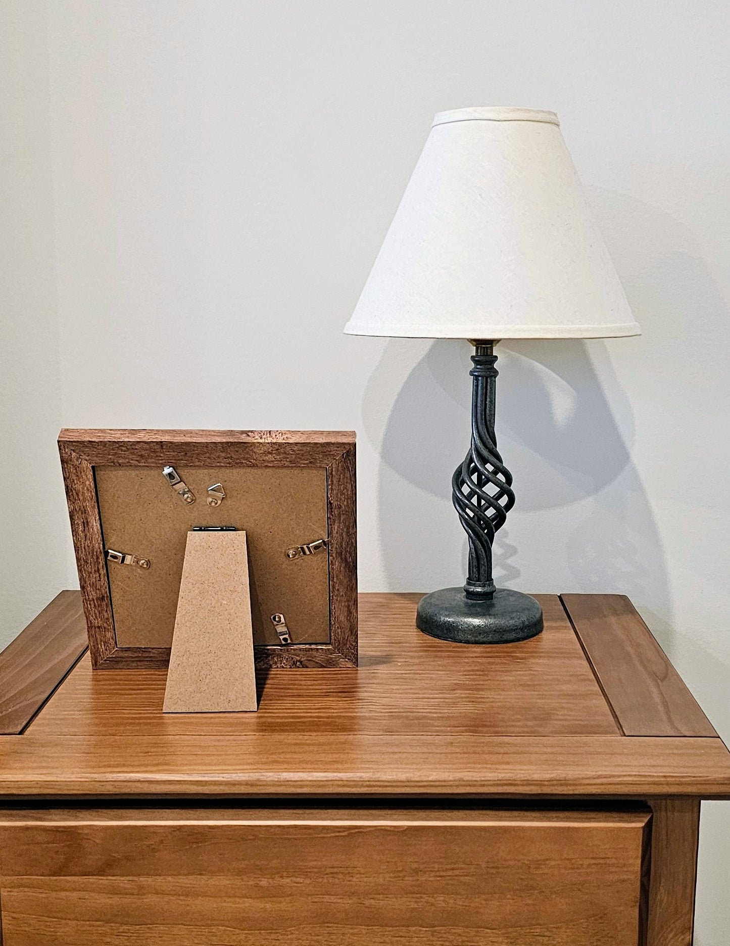 Cowries & Sea Biscuit 7.5x7.5