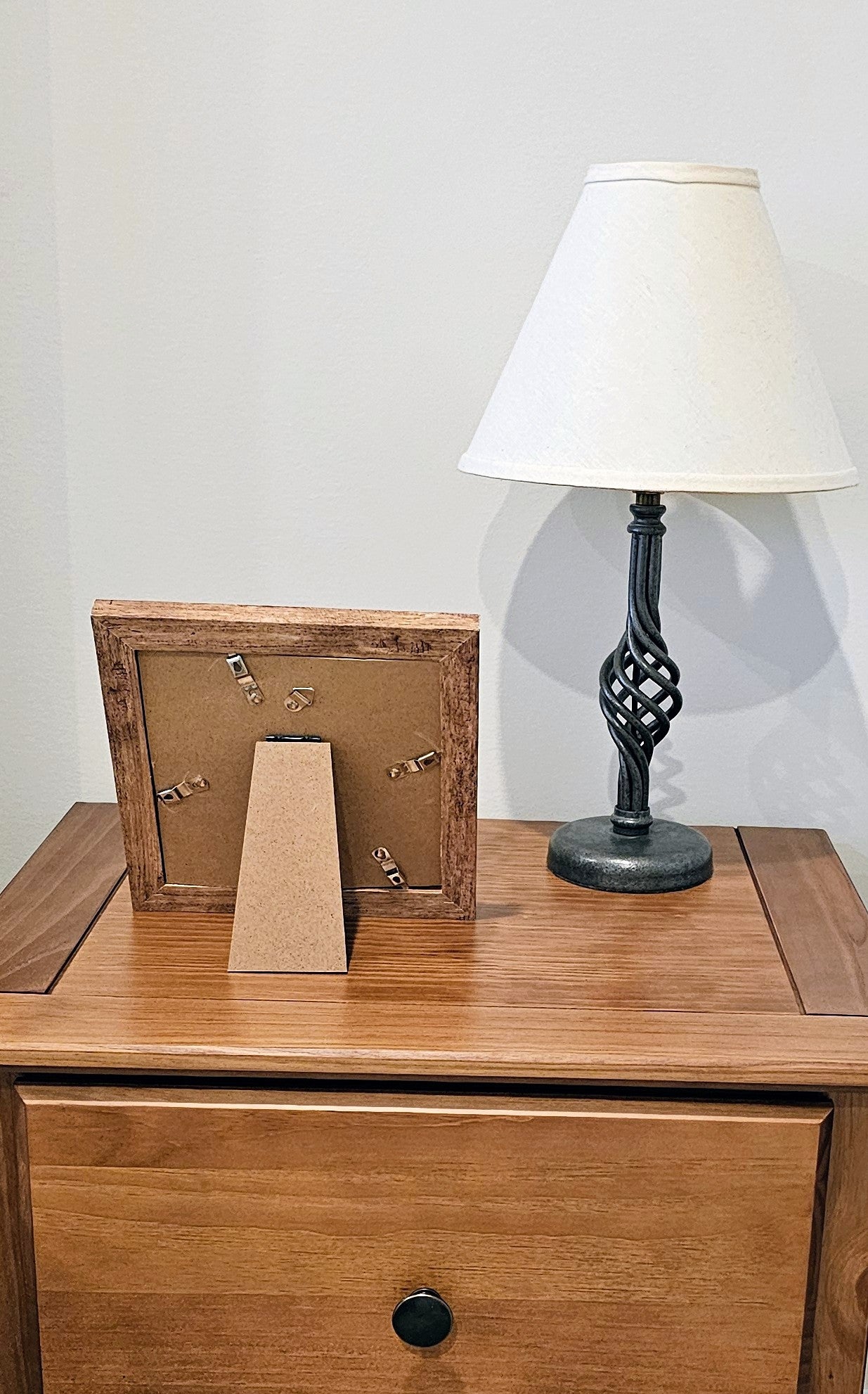 Sliced Cowries & Finger Starfish 7.5x7.5