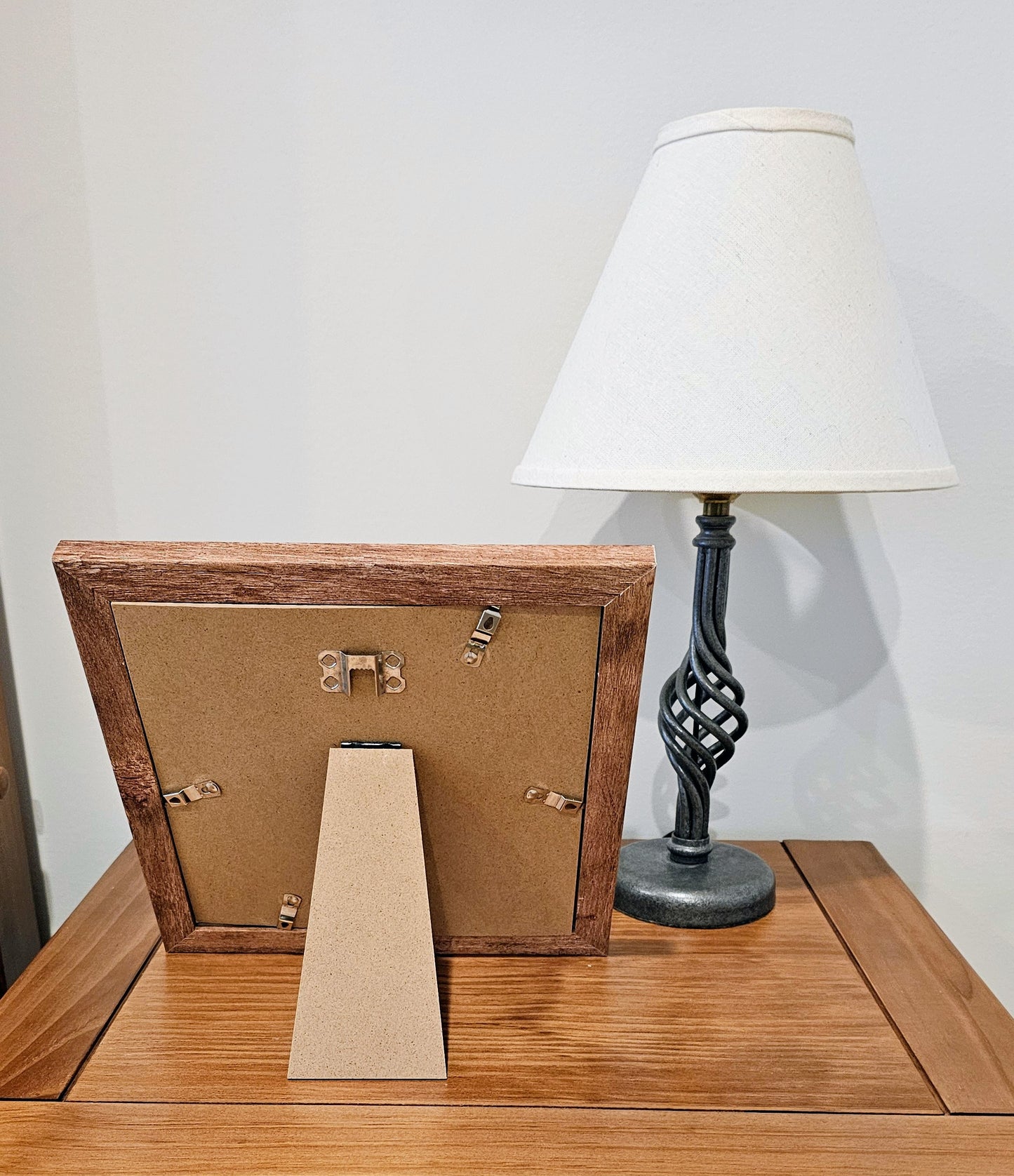 Sliced Shells & Olive Gibbosa 9.5x9.5