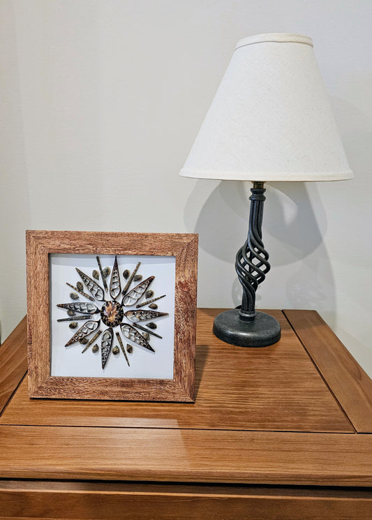 Owl Limpet & Black Turritella 7.5x7.5