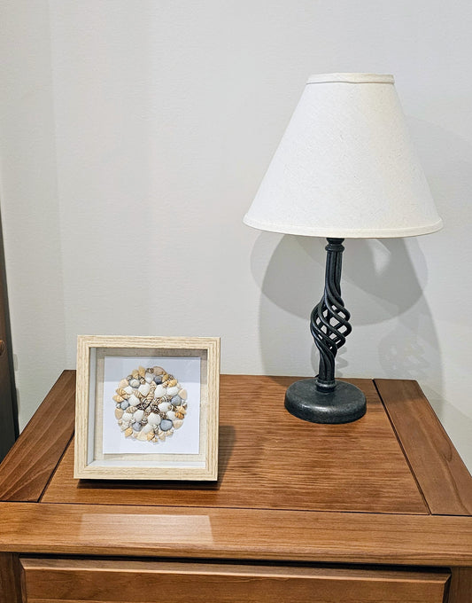 Mixed Colored Nassa & Clam Shells 5.5x5.5