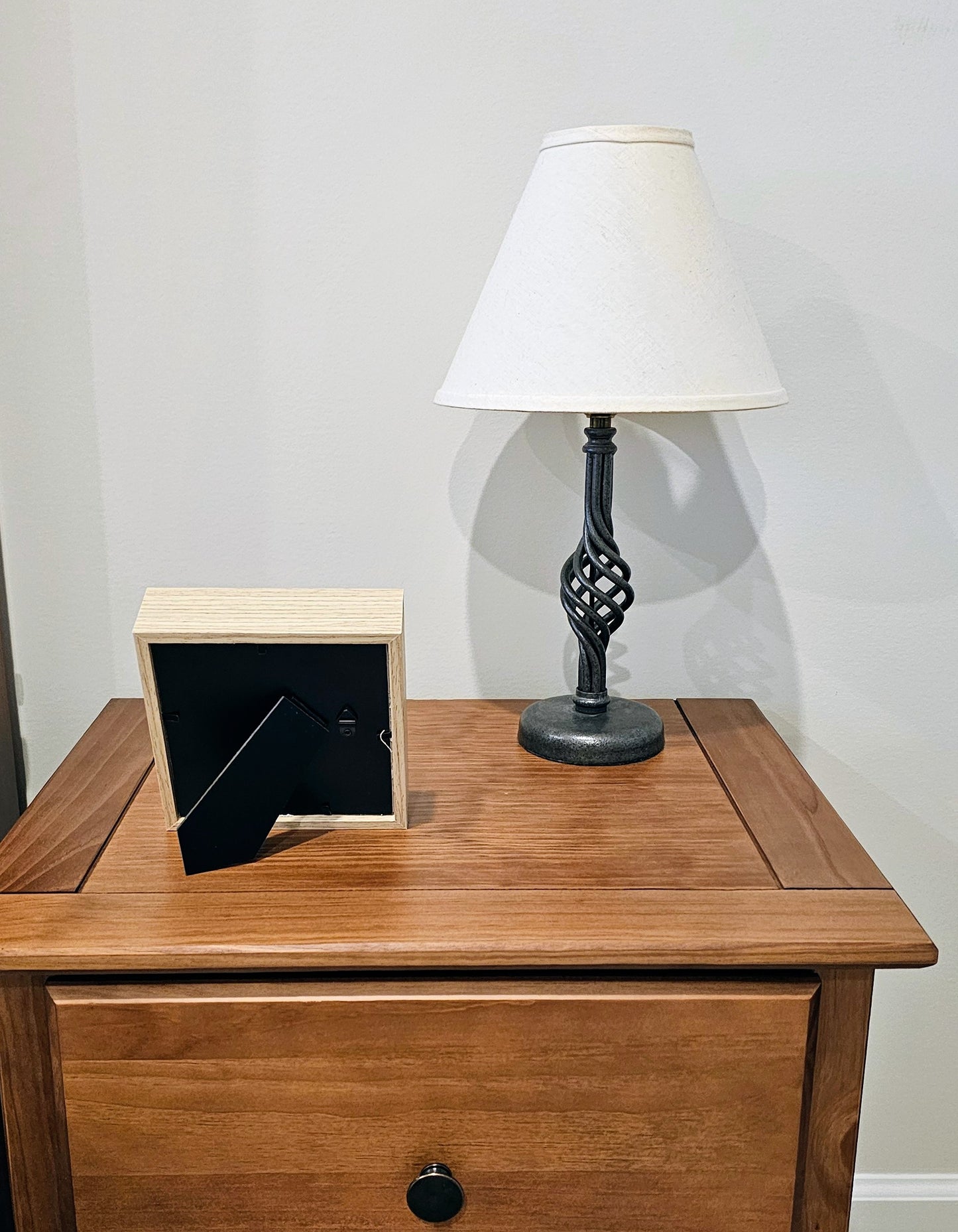 Mixed Colored Nassa & Clam Shells 5.5x5.5