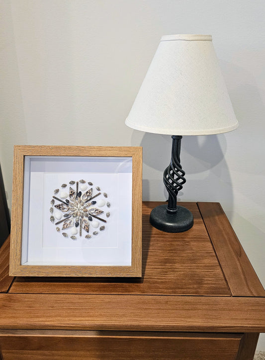 Sliced Strombus & Colored Nassa Shells 9x9