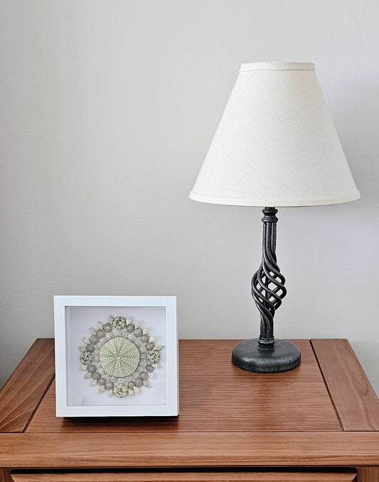 Sea Urchin & Umbonium 5.5x5.5