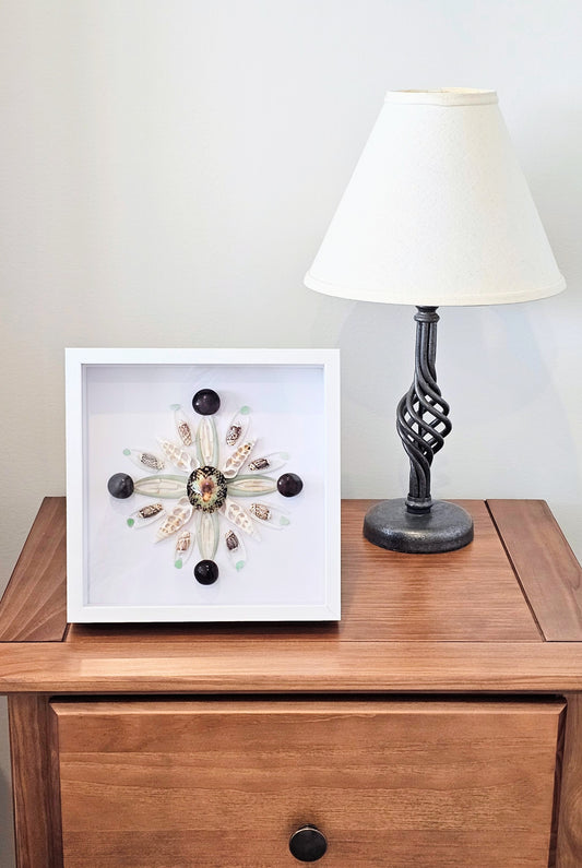 Polished Limpet, Seabeans & Mollusk Tusk 8.5x8.5