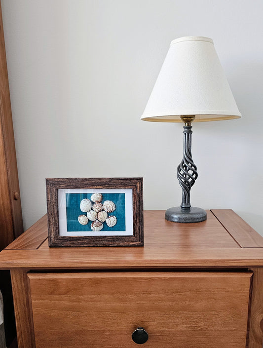 Cockle Shells on Fabric 3.5x5