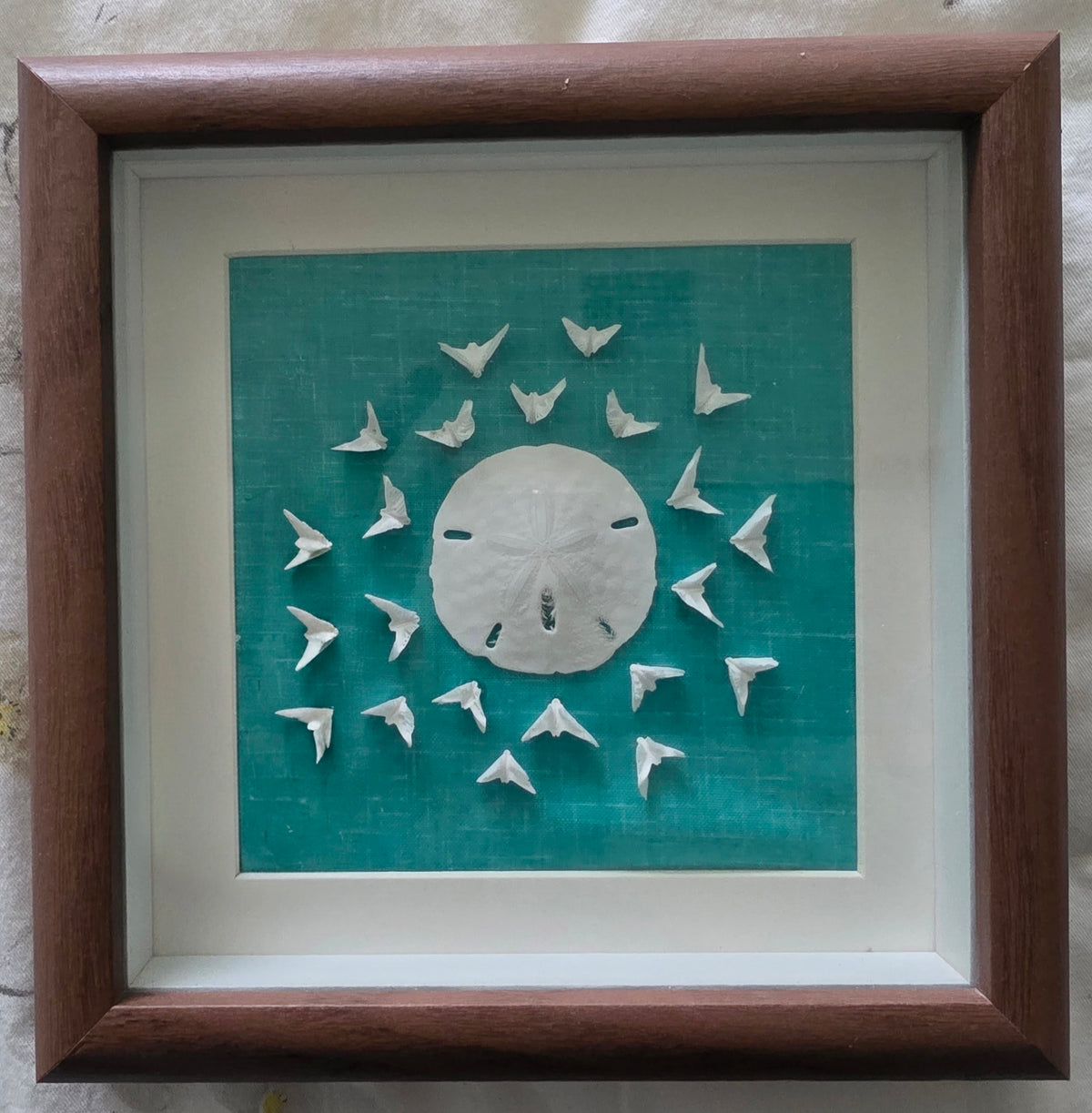 Sand Dollar and Doves square
