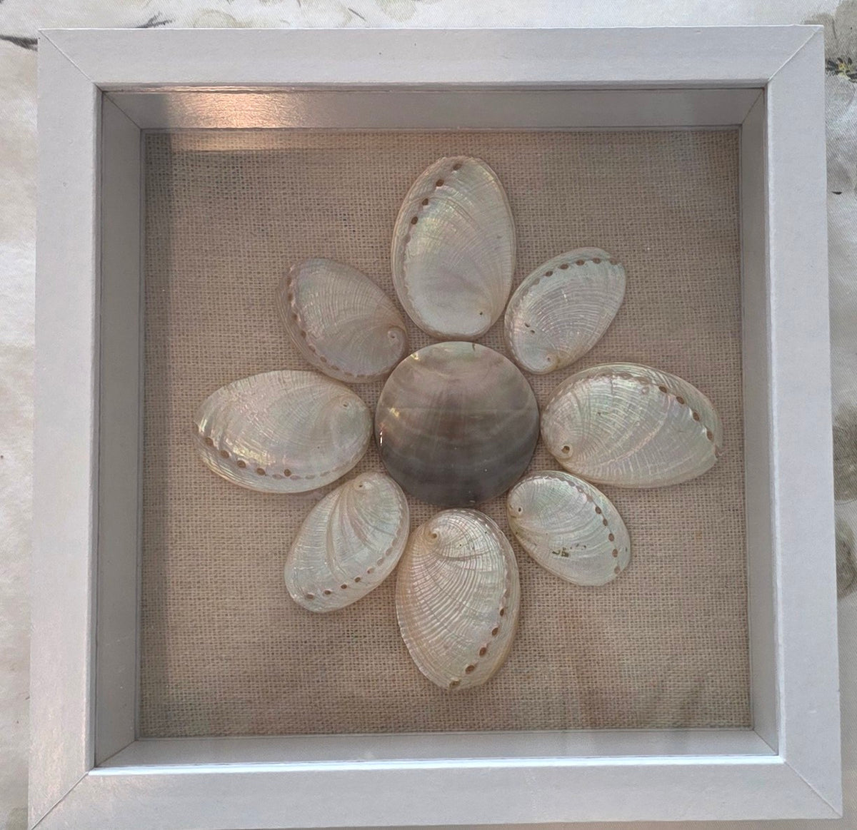 Pearled abalone on linen