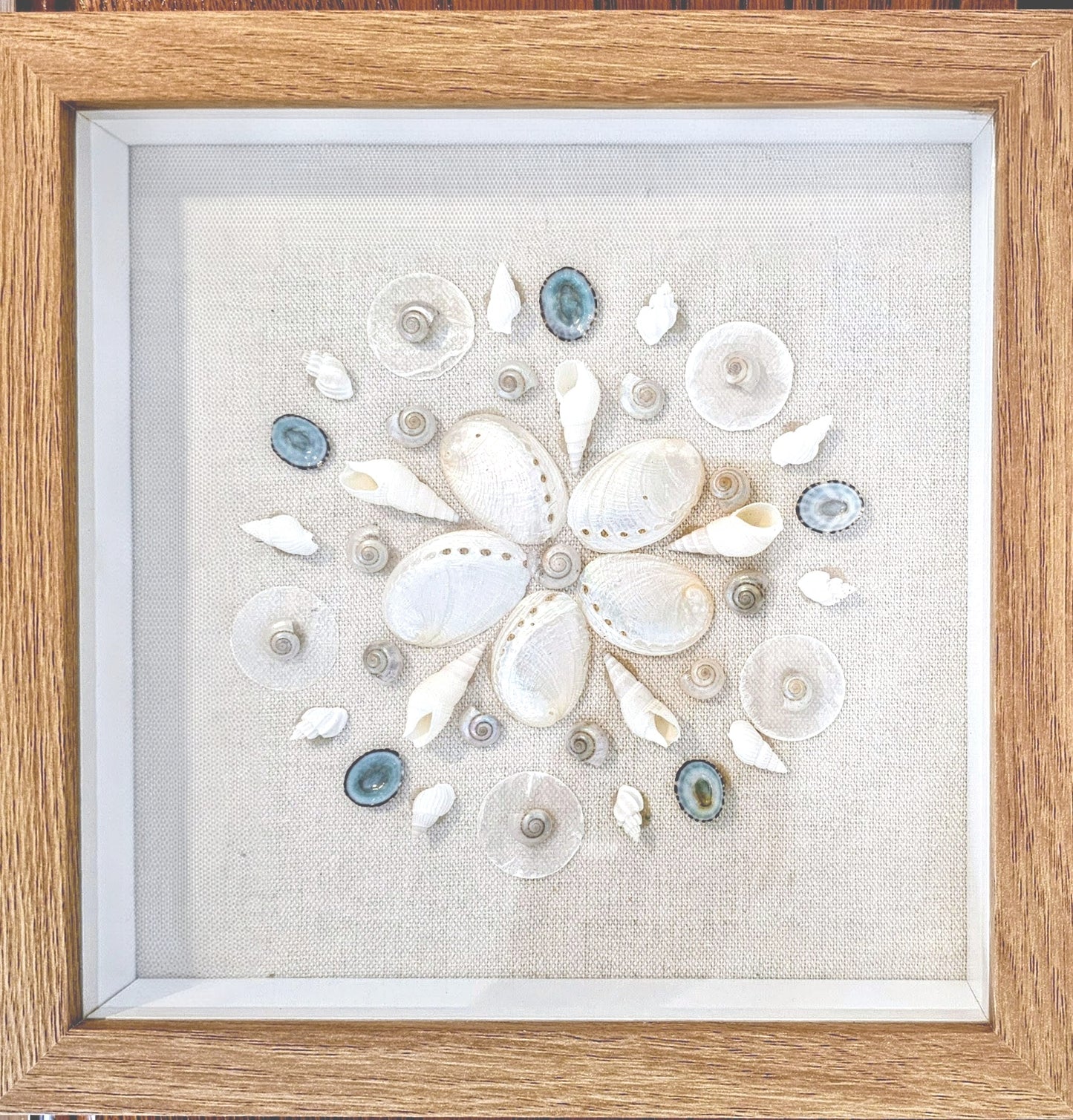 Pearled Abalone & Limpets on linen 9x9