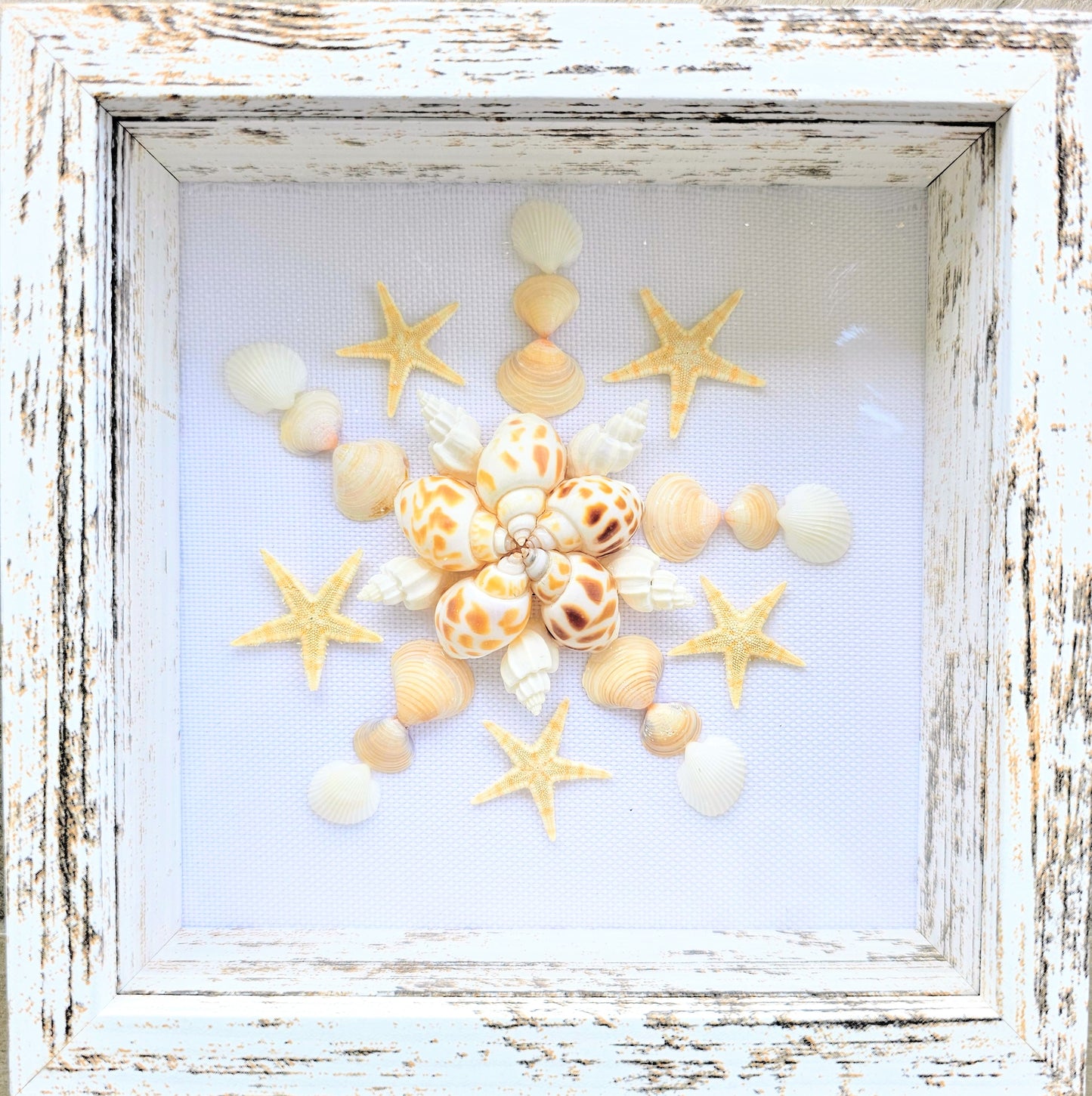 Junonia & Finger Starfish on white linen 5.5x5.5