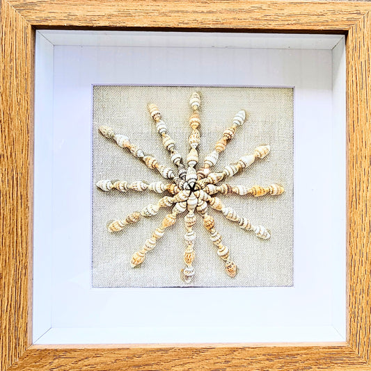 Colored Nassa Shells on Linen 9x9