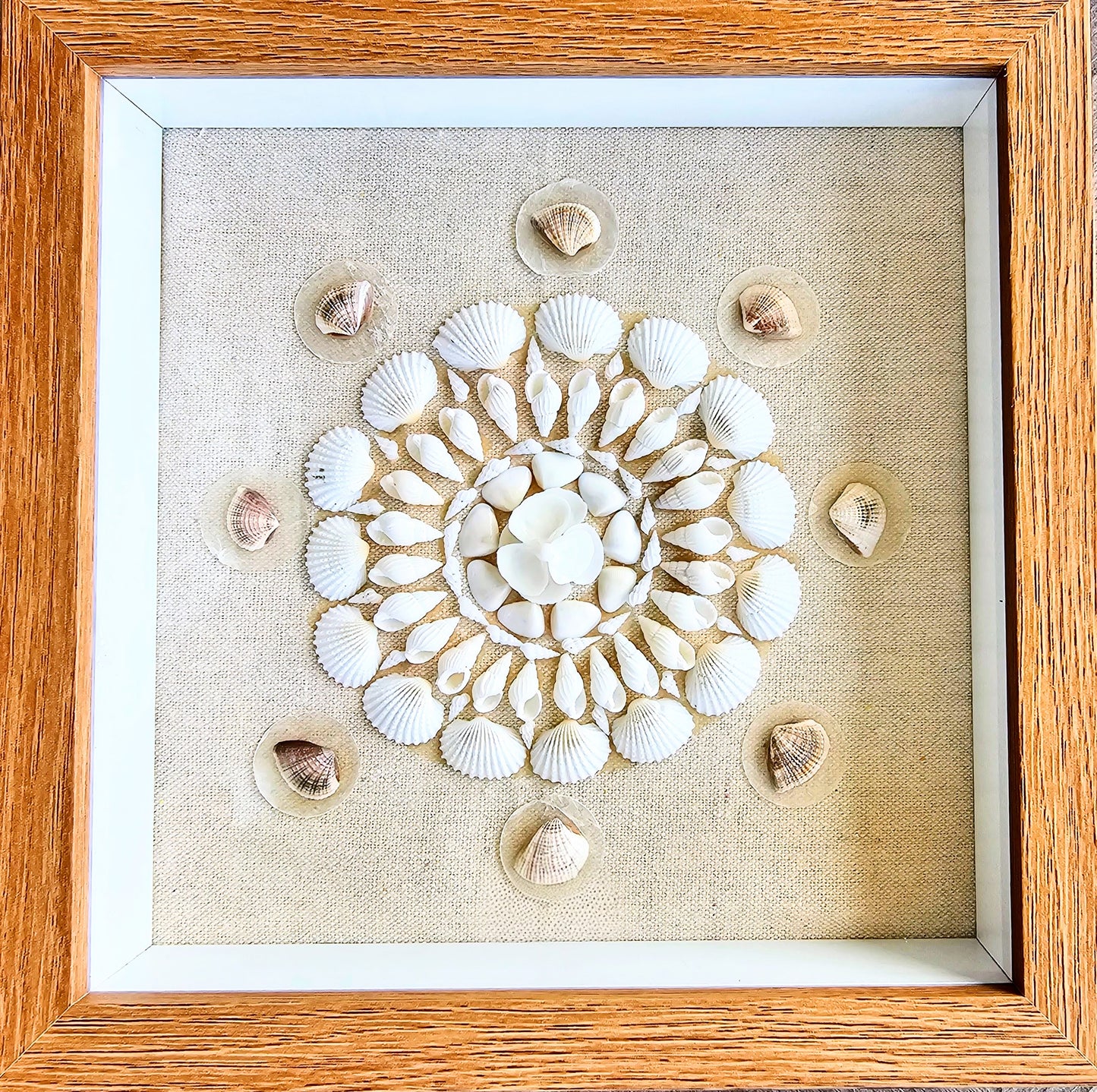 Ark, White Nassa & Cay Cay Shells on Linen 9x9