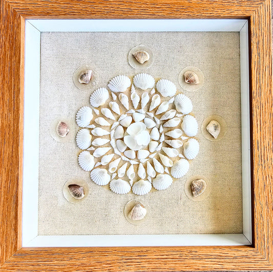 Ark, White Nassa & Cay Cay Shells on Linen 9x9