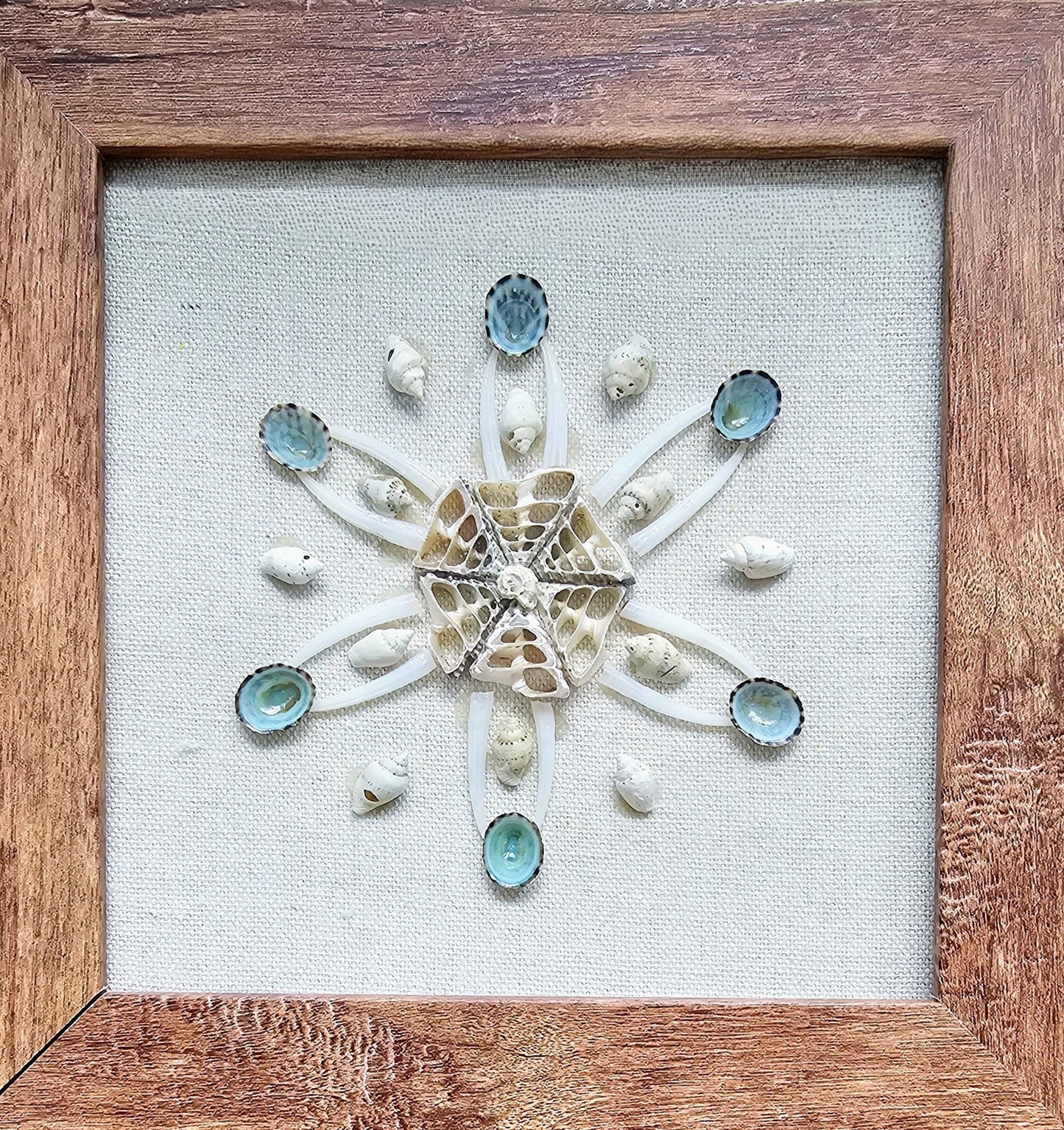 Blue Limpet & Tusk on Linen  7.5x7.5