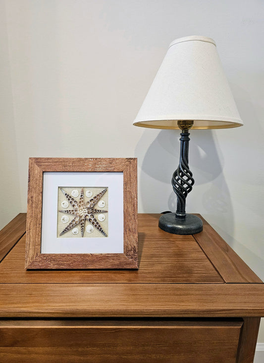 Sliced Turretella & Mini Sand Dollars on Linen 7.5x7.5