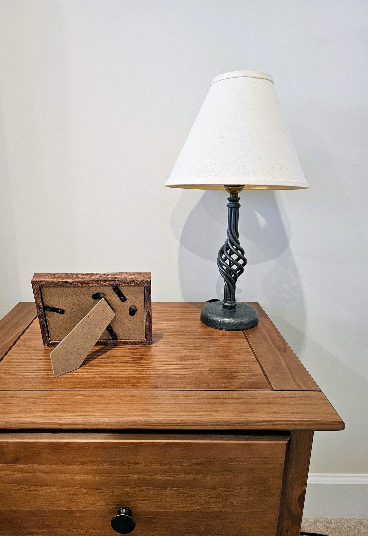 Colored Nassa Shells 3.5x5