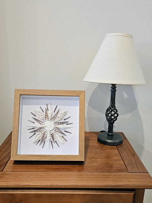 Sea Biscuit, Spindle Shells & Sliced Shells 9x9