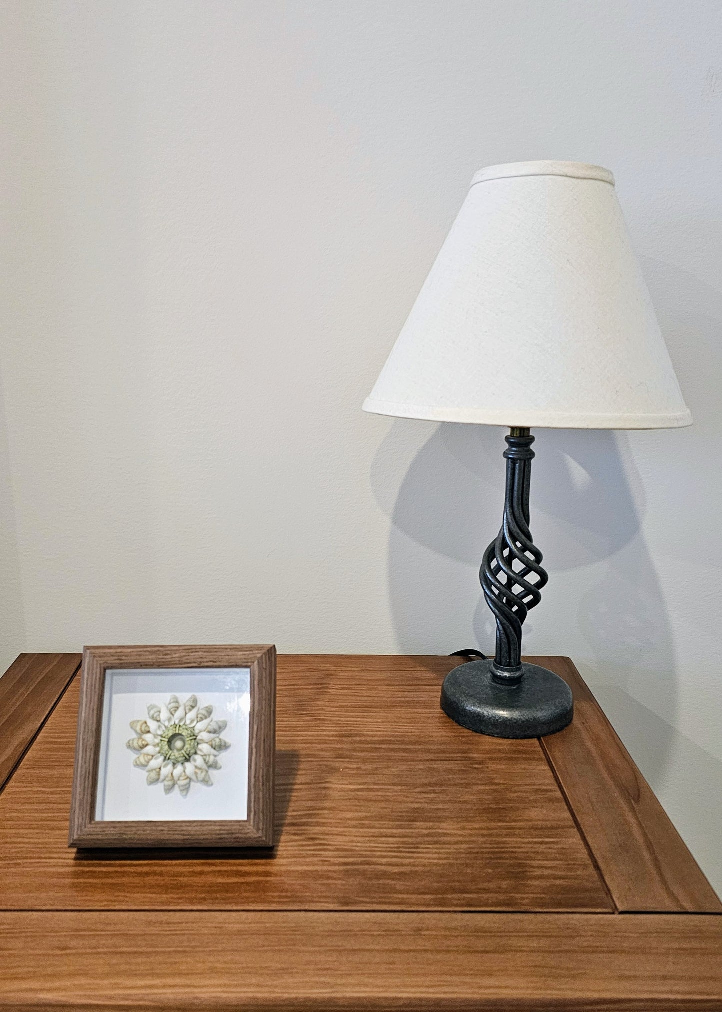 Green Sputnik & Nassa Shells 4.5x4.5