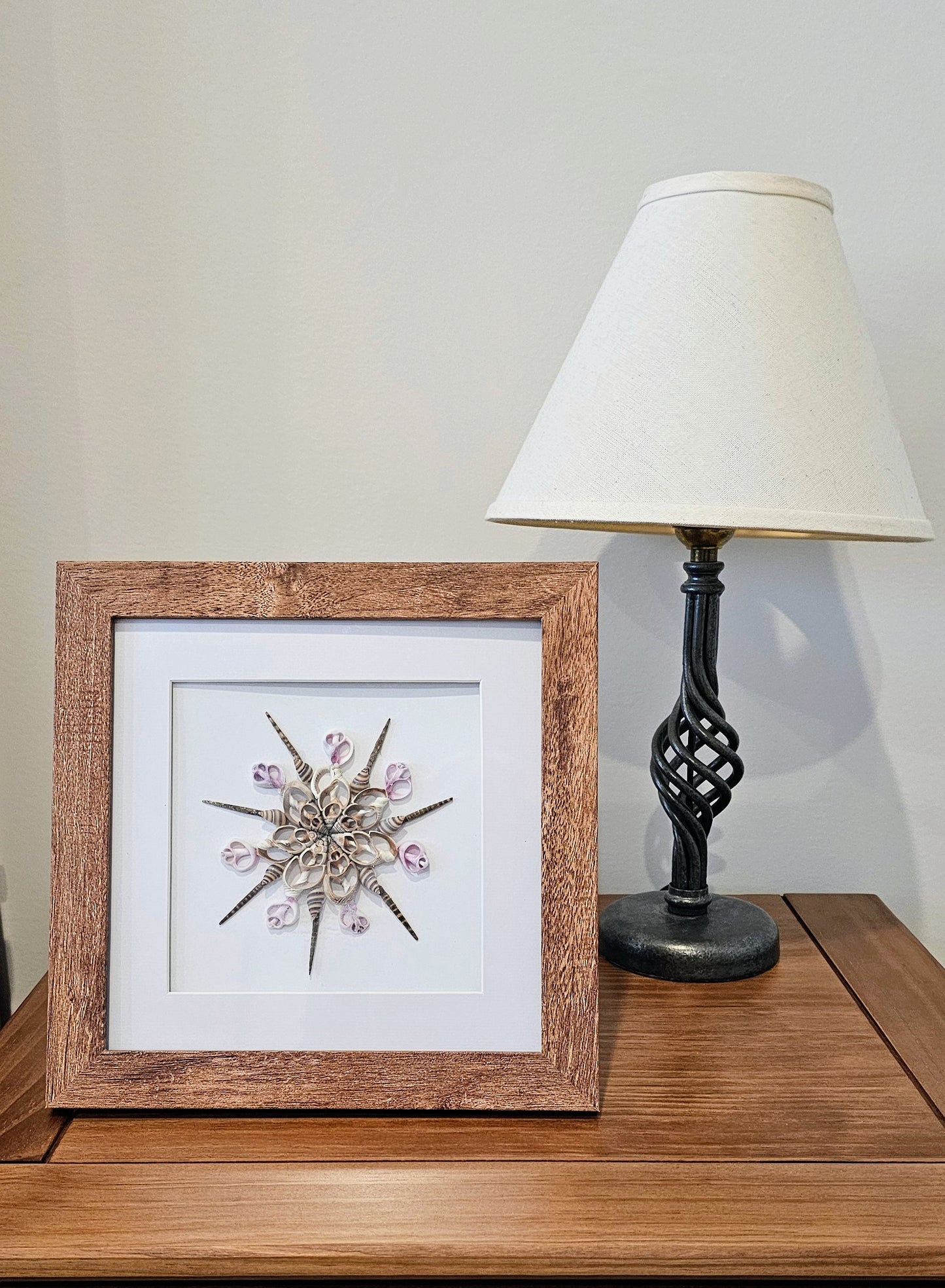 Sliced Orchid Shells & Strombus 9.5x9.5