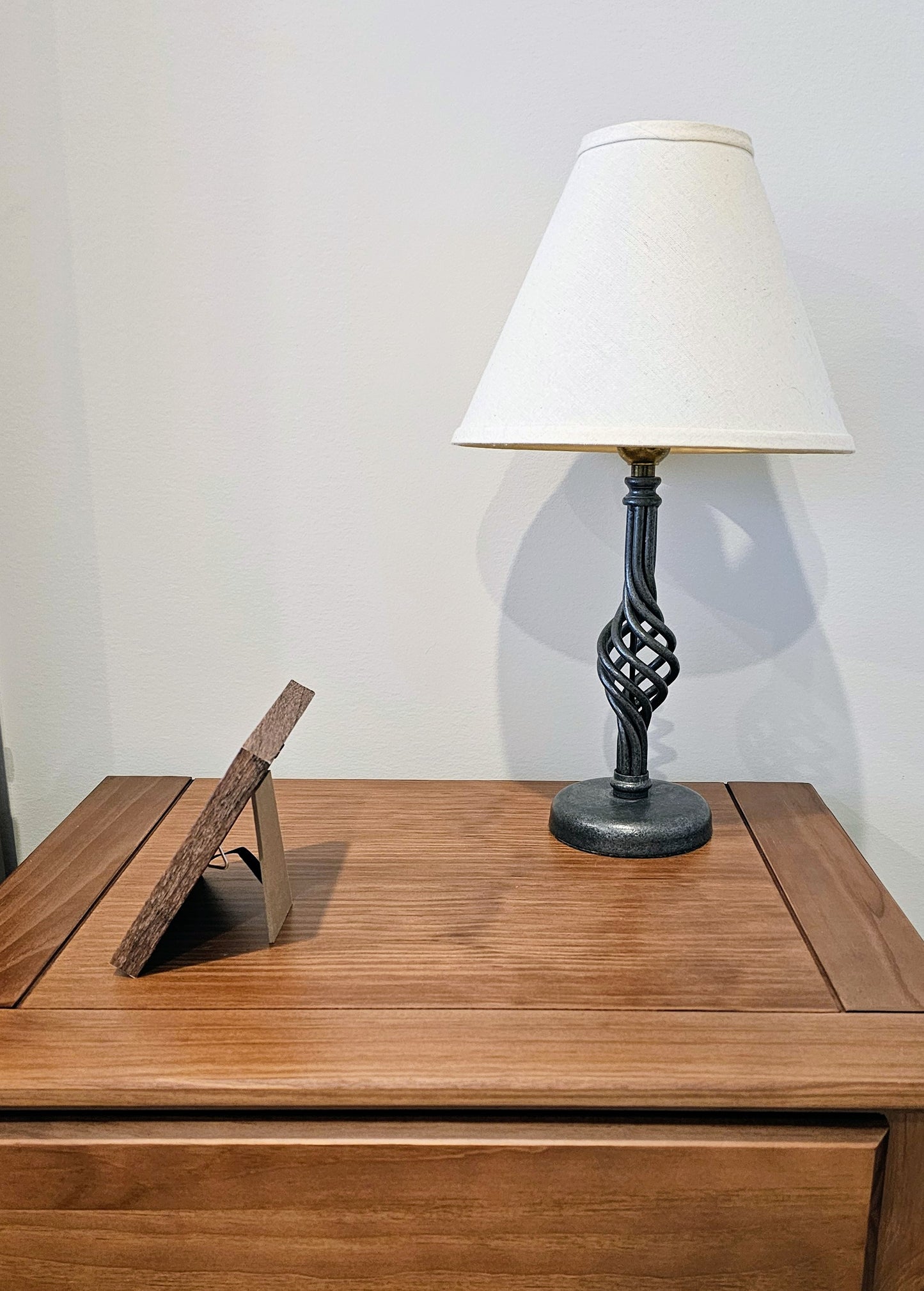 Rhinoclavis & White Nassa Shells 3.75x3.75