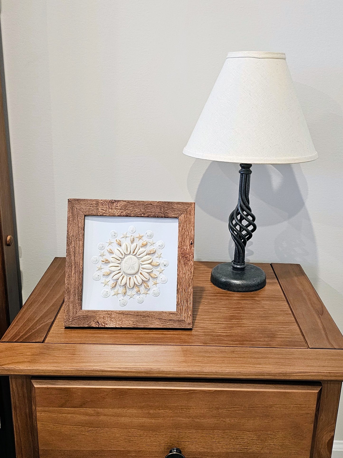 Cowries & Sea Biscuit 7.5x7.5