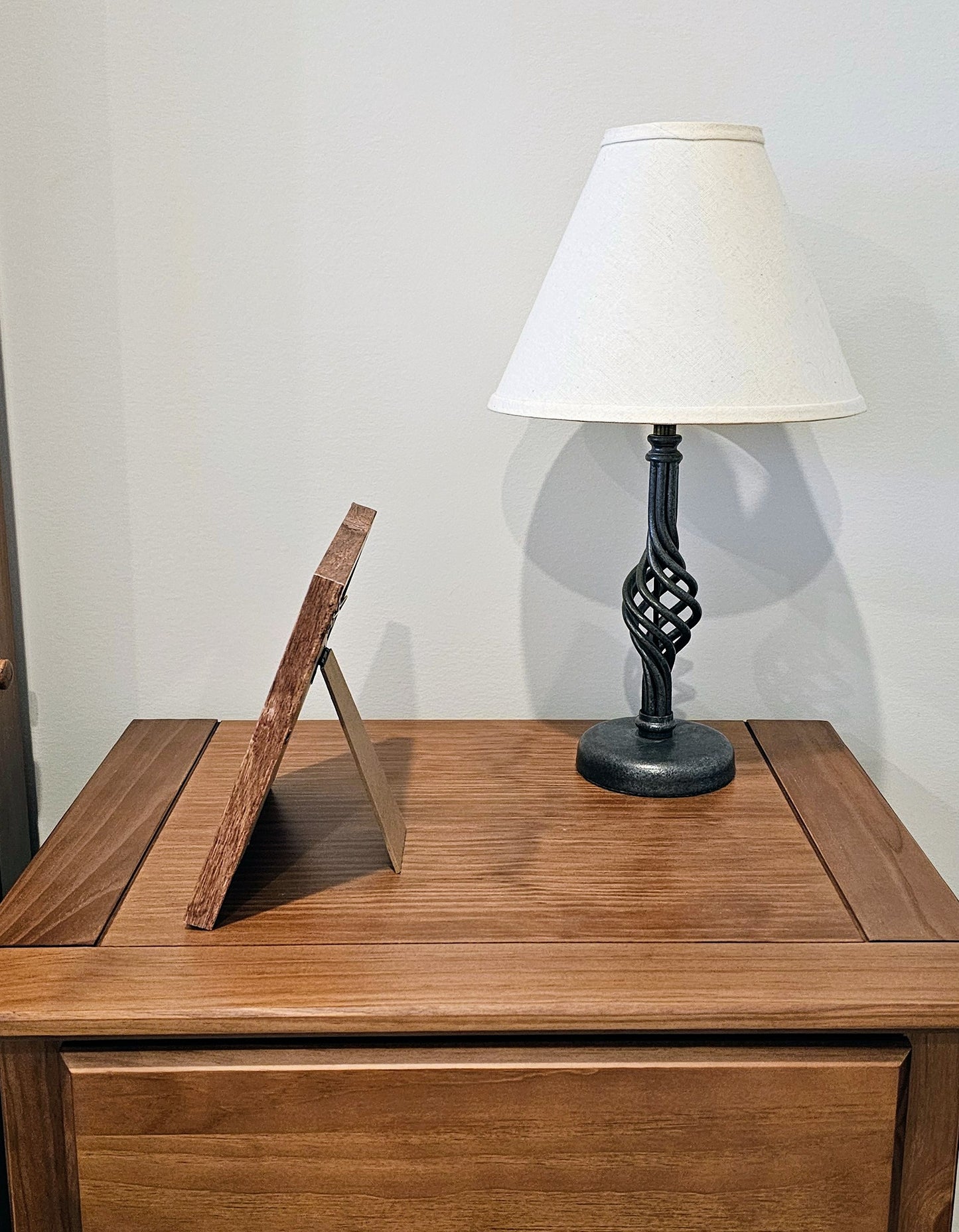 Cowries & Sea Biscuit 7.5x7.5