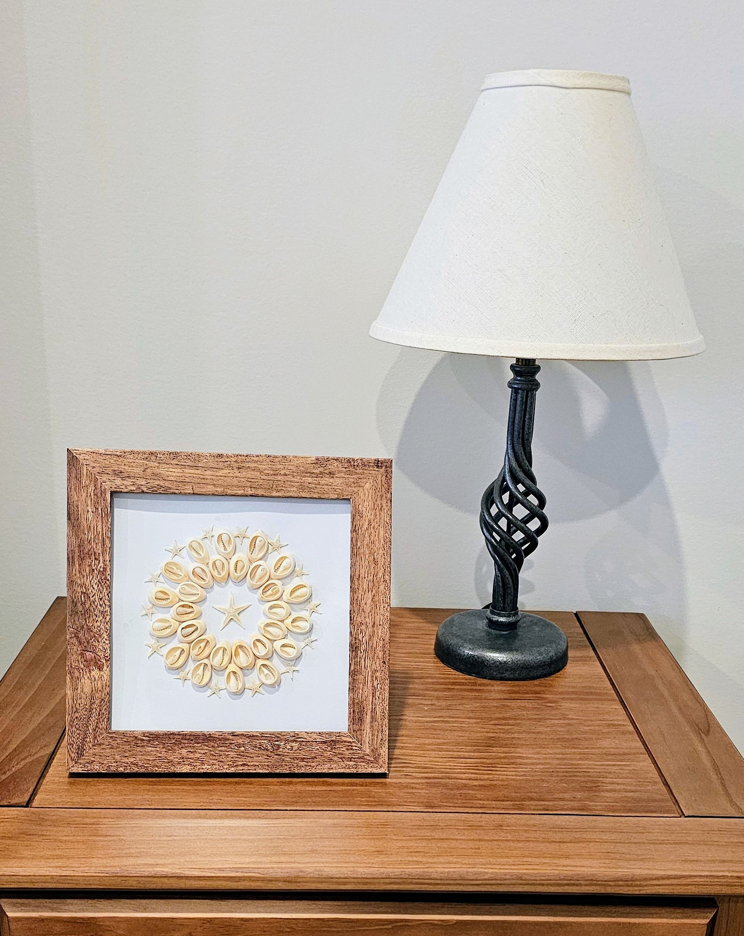 Sliced Cowries & Finger Starfish 7.5x7.5