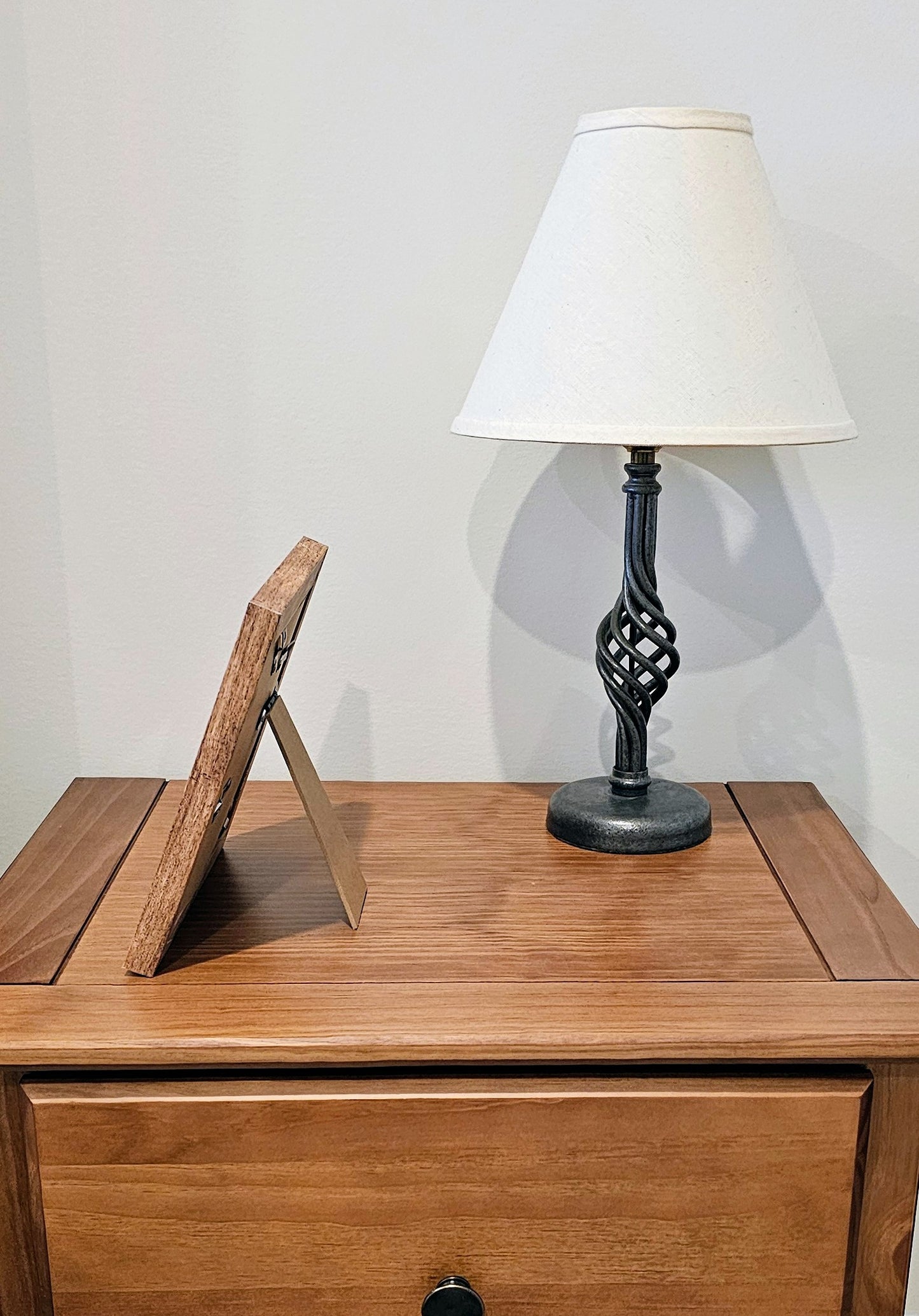 Sliced Cowries & Finger Starfish 7.5x7.5