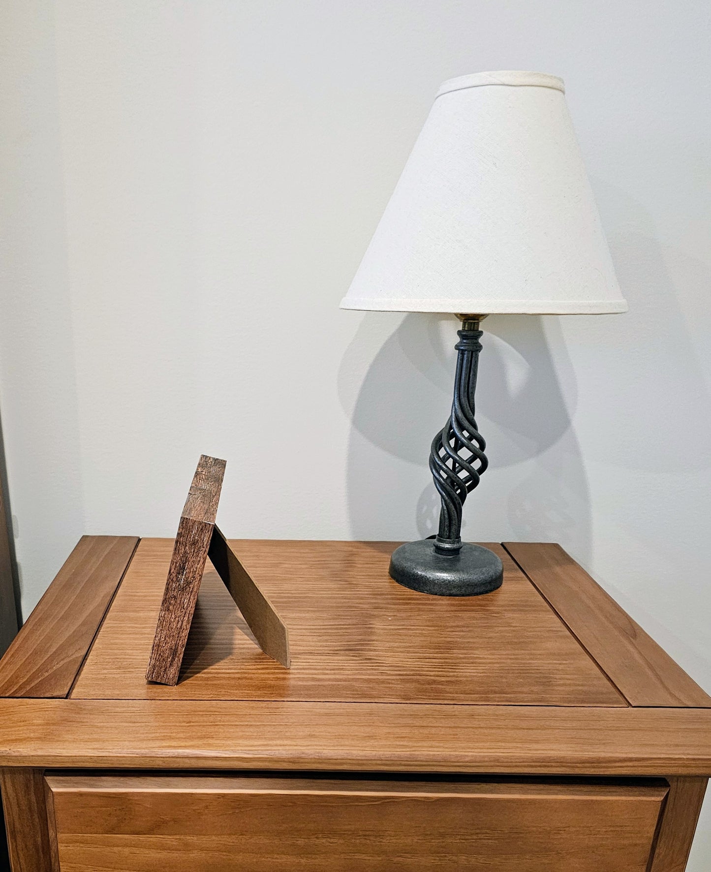 Pearled Trochus & Umbonium 3.5x5