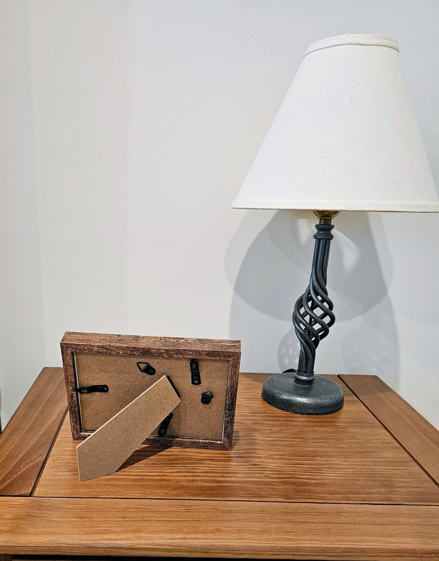 Pearled Trochus & Umbonium 3.5x5