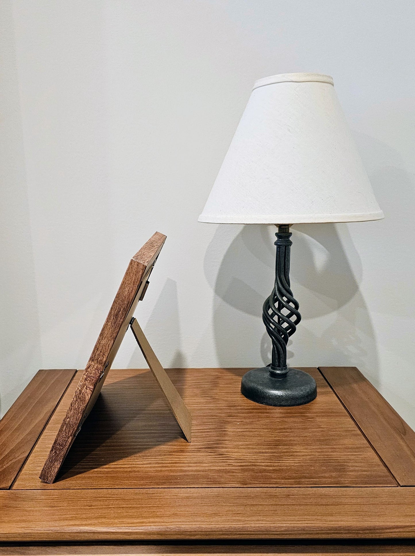 Sliced Shells & Olive Gibbosa 9.5x9.5