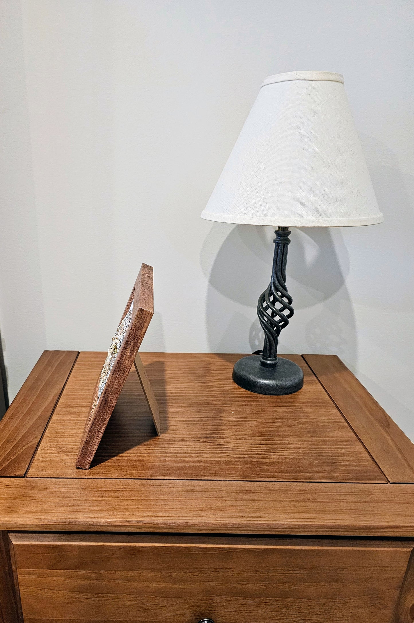 Mixed Shells & Rhinoclavis 7.5x7.5