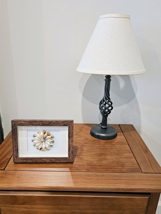 Bullia Shells & Pearled Umbonium 3.5x5