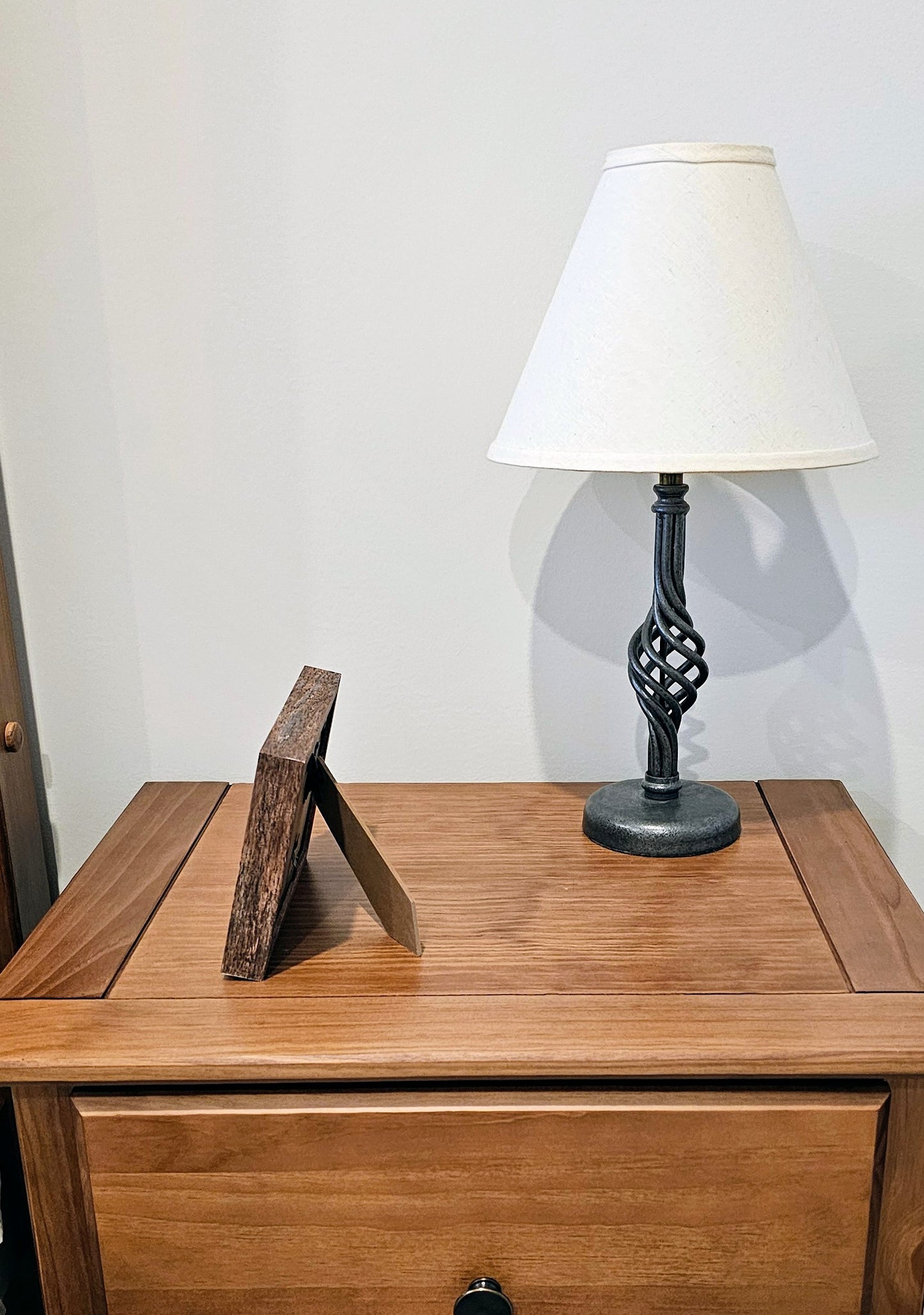 Bullia Shells & Pearled Umbonium 3.5x5