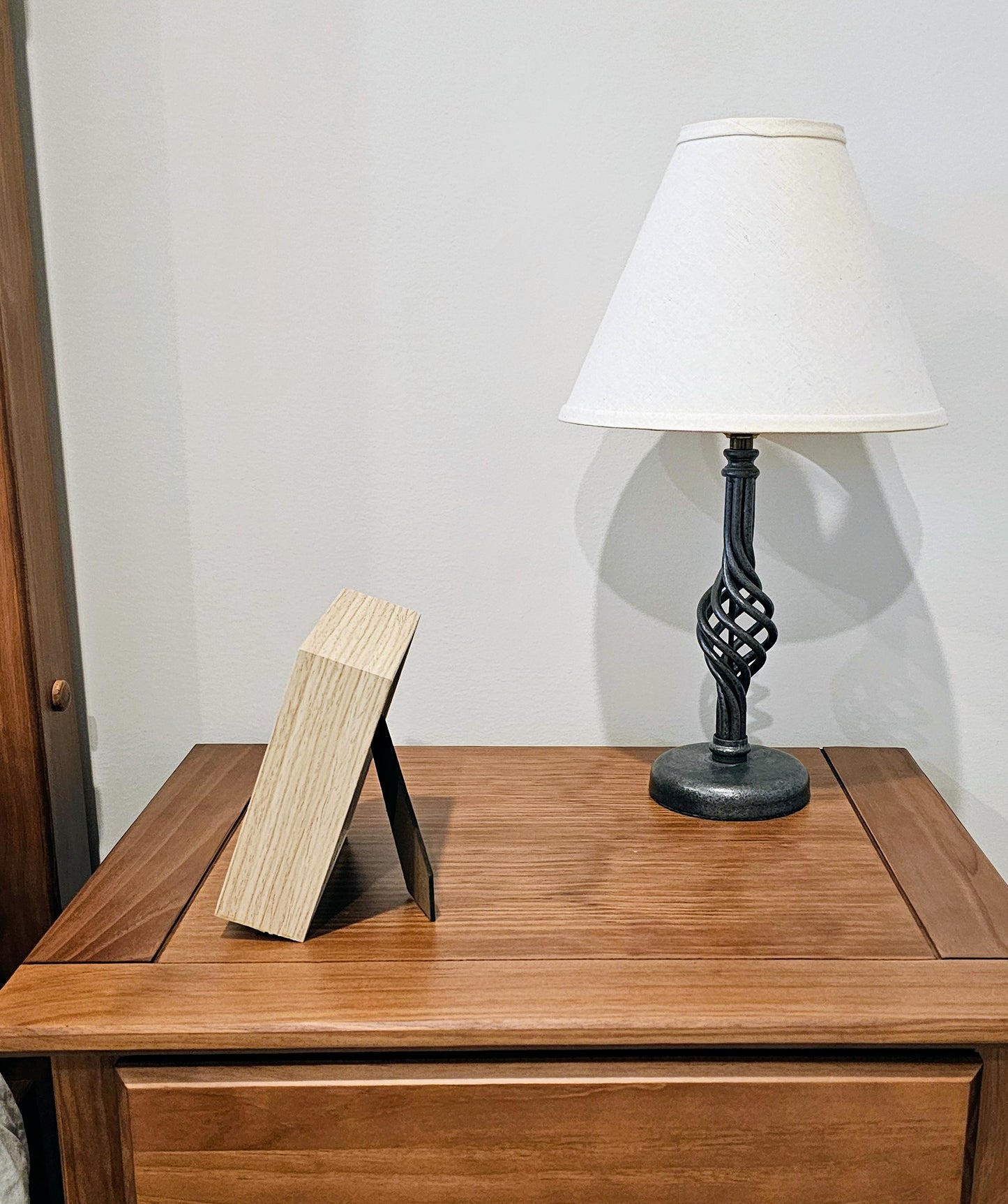 Mixed Colored Nassa & Clam Shells 5.5x5.5