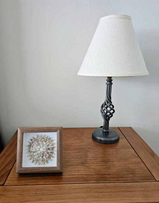 Colored Nassa & Whale Eye 4.5x4.5