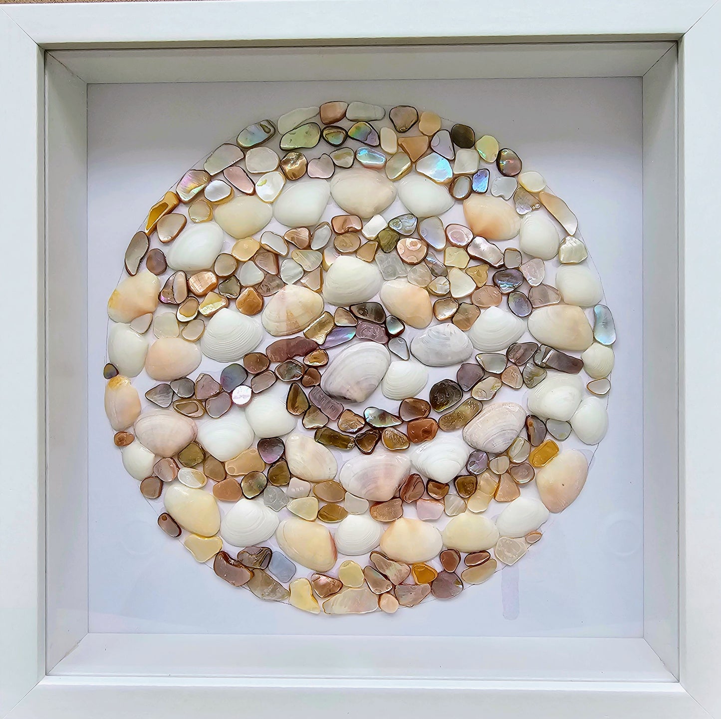 Mother of Pearl & Cay Cay Shells 8.5x8.5