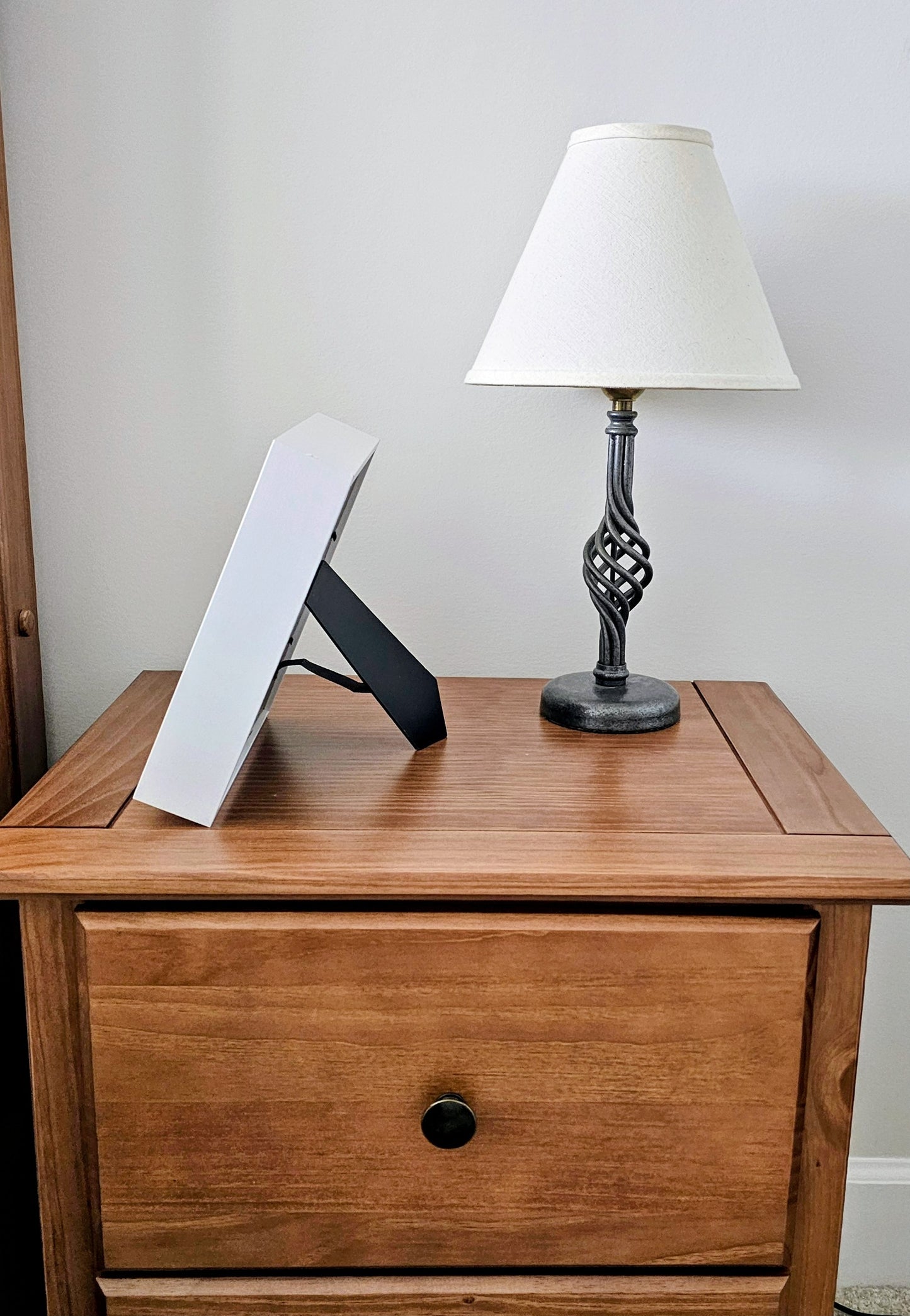 Polished Limpet, Seabeans & Mollusk Tusk 8.5x8.5