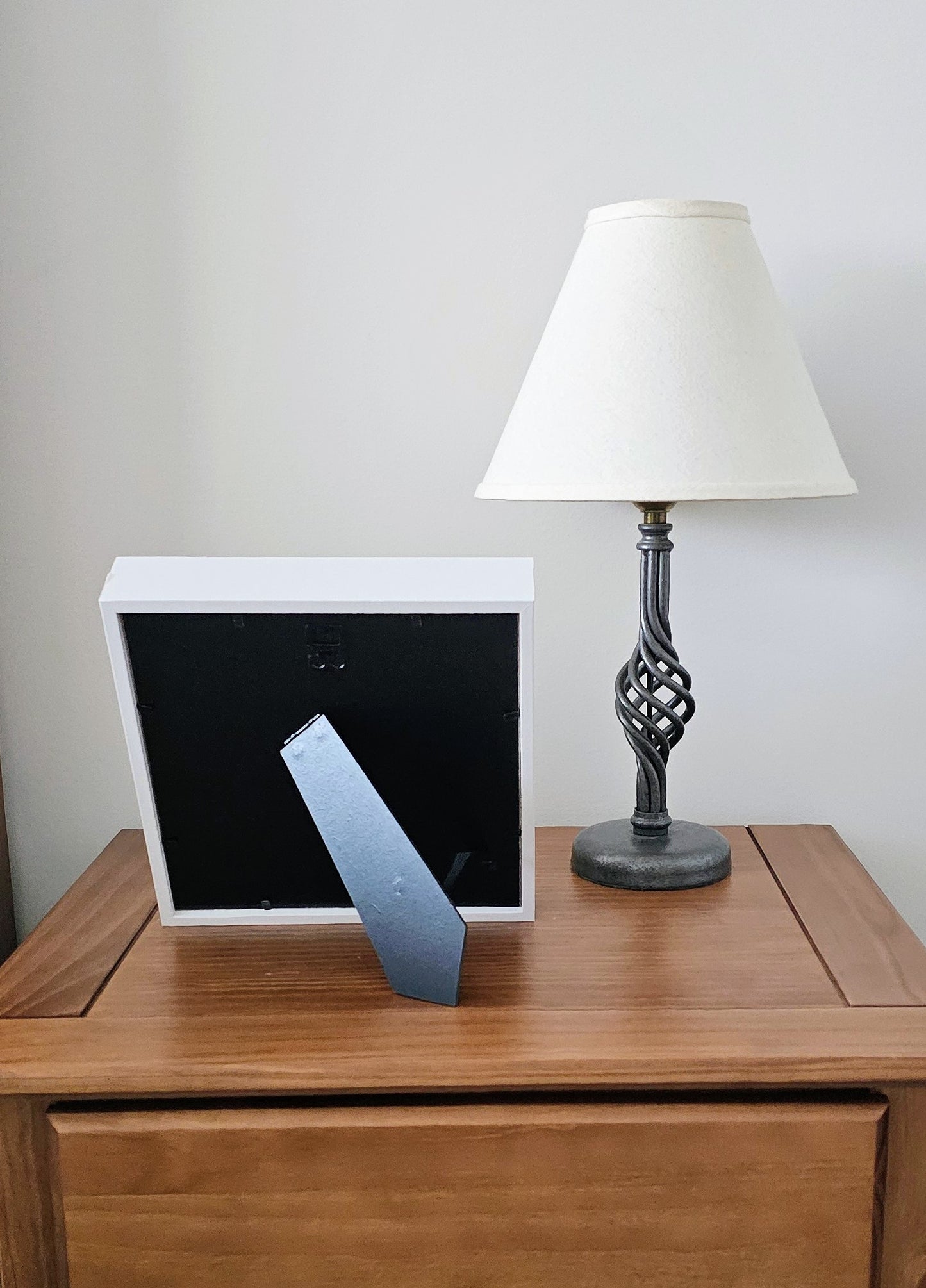 Polished Limpet, Seabeans & Mollusk Tusk 8.5x8.5