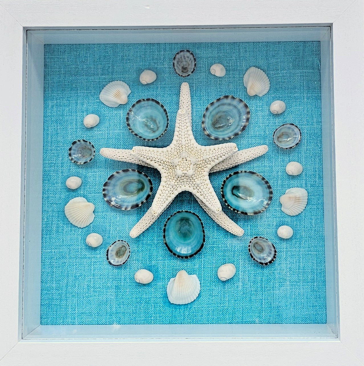 Starfish & Limpets on fabric 5.5x5.5