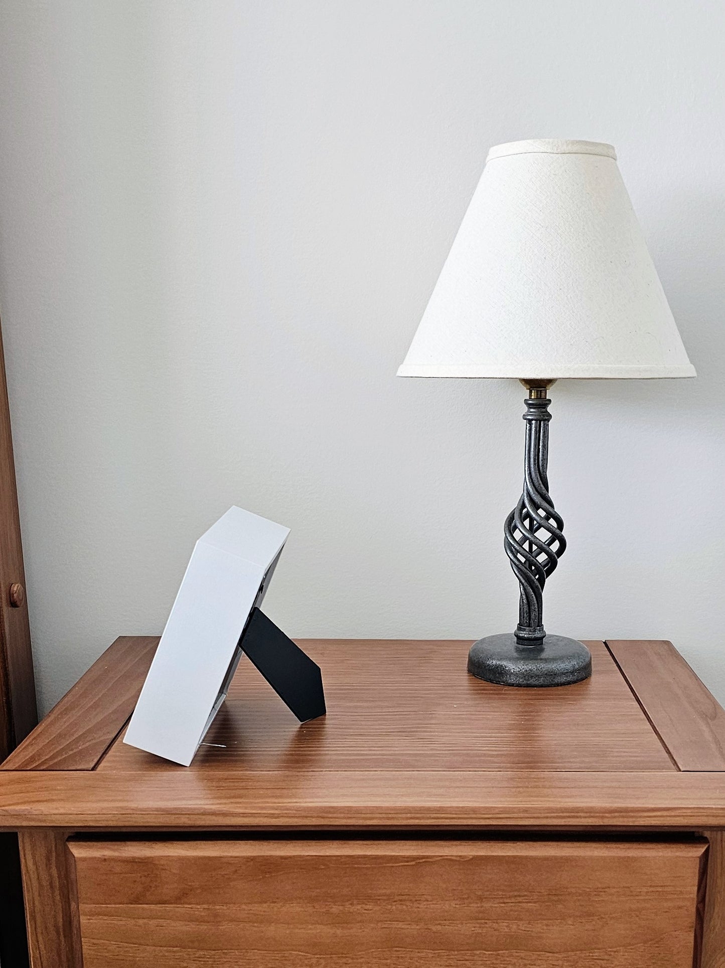 Sea Urchin & Umbonium 5.5x5.5