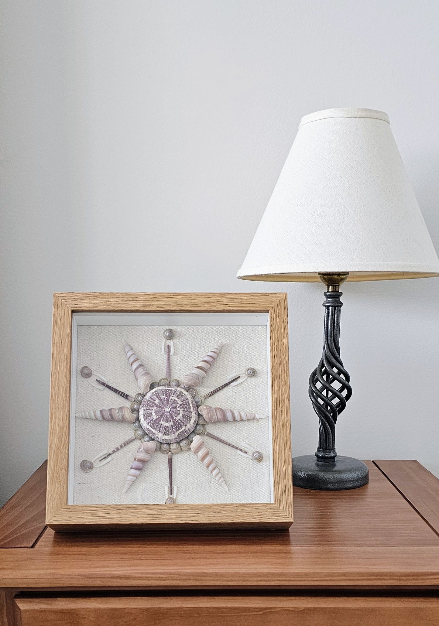 Turritella & Sea Urchin on Linen  9x9