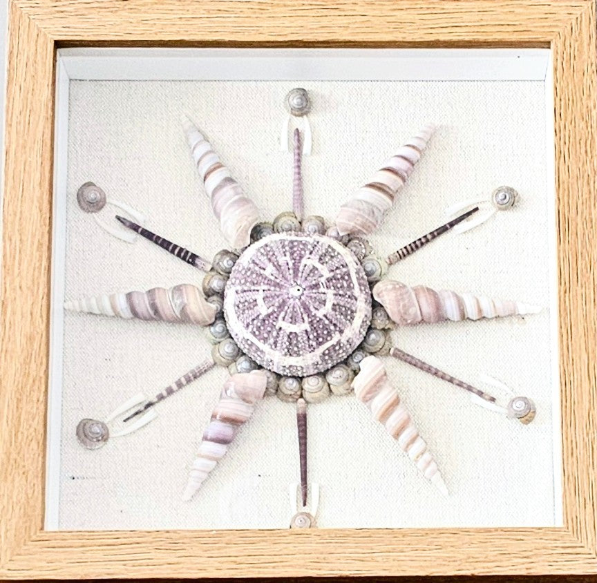Turritella & Sea Urchin on Linen  9x9
