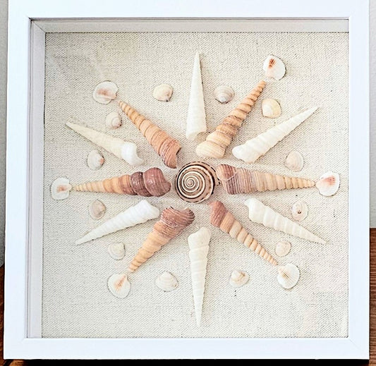 Turritella & Sundial on Linen 8.5x8.5