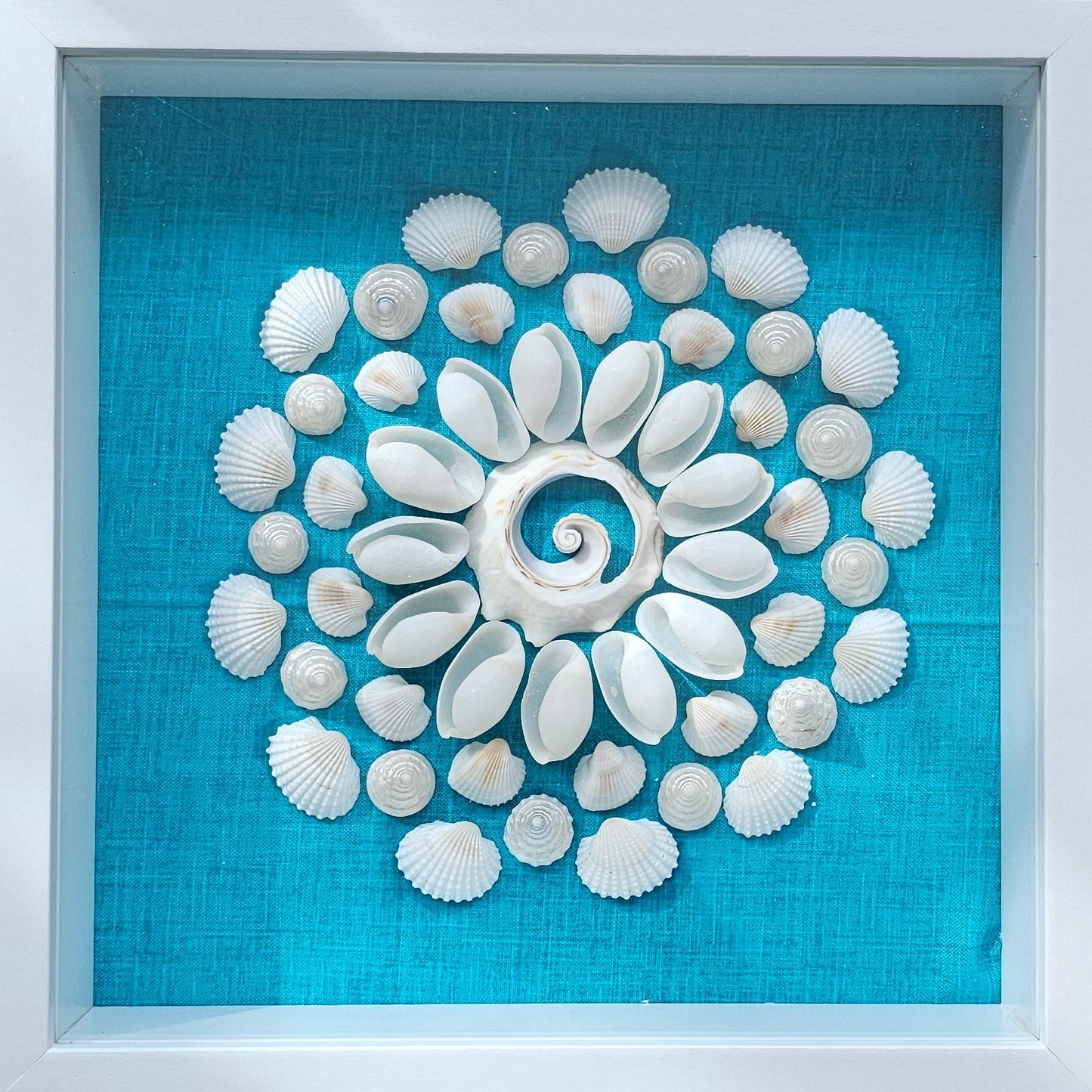 Bubble Shells & Pearlized Trochus on Fabric 8.5x8.5