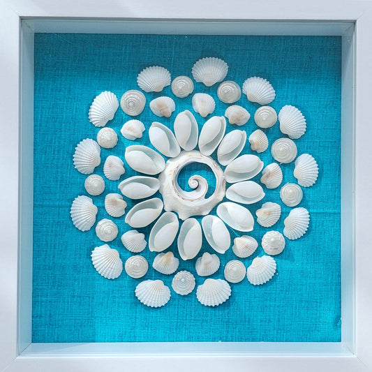 Bubble Shells & Pearlized Trochus on Fabric 8.5x8.5